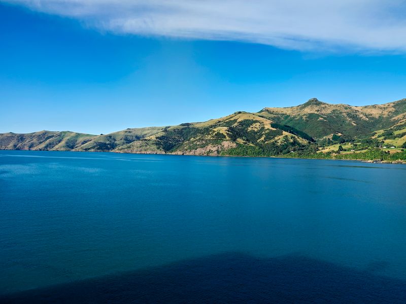 NZ_AUS_002456_20230311.jpg