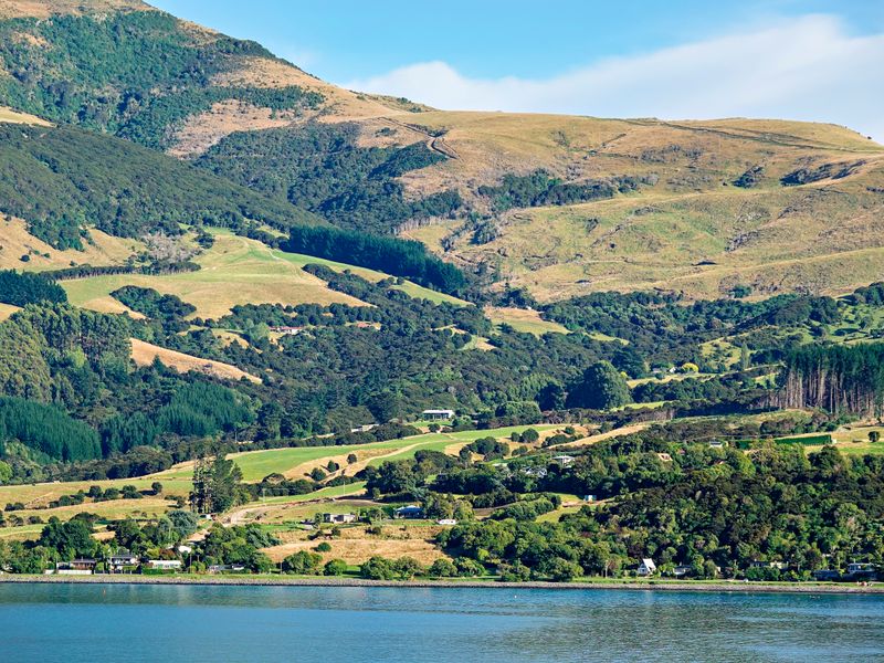 NZ_AUS_002458_20230311.jpg