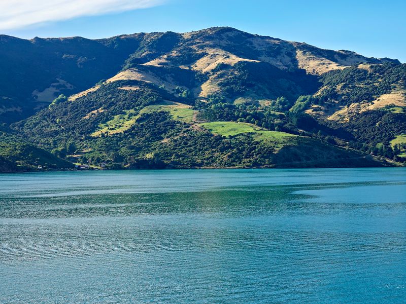 NZ_AUS_002460_20230311.jpg