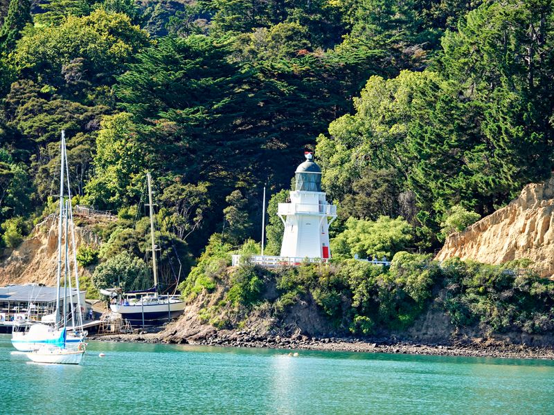NZ_AUS_002461_20230311.jpg