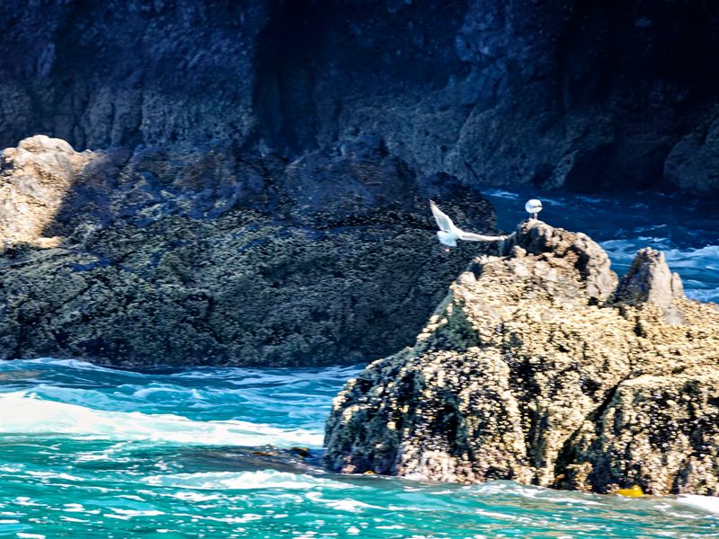 NZ_AUS_002466_20230311.jpg