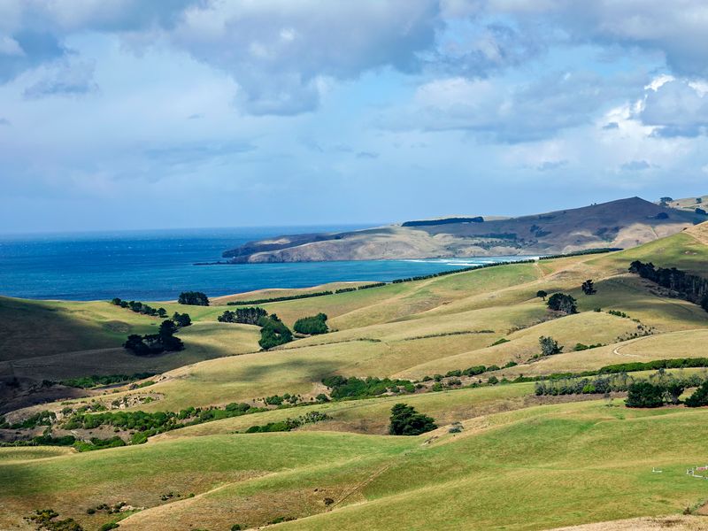 NZ_AUS_002511_20230312.jpg