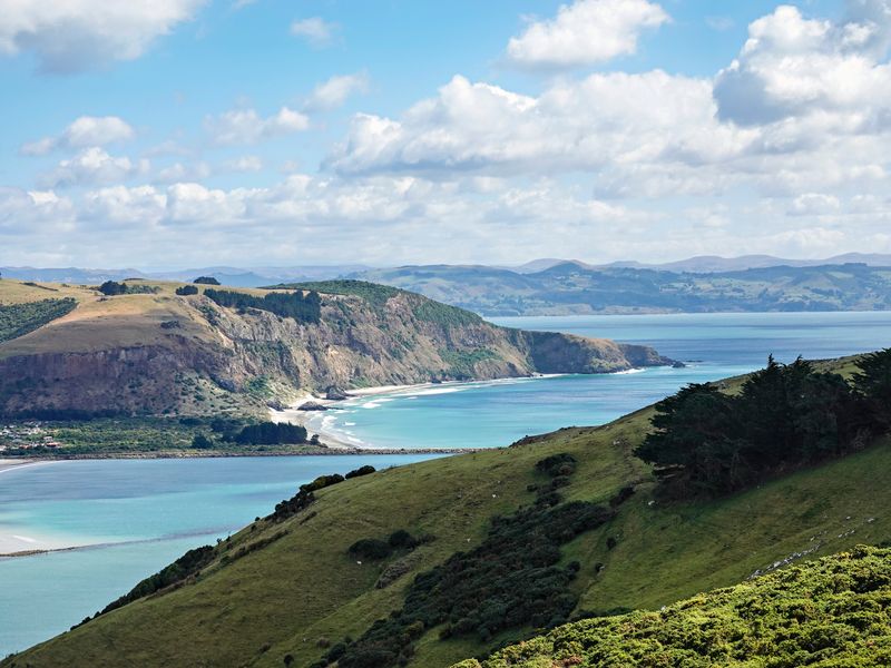 NZ_AUS_002512_20230312.jpg