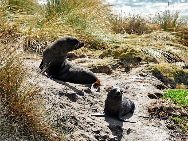 NZ_AUS_002515_20230312.jpg