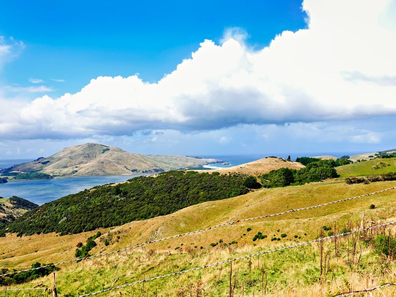 NZ_AUS_002536_20230312.jpg