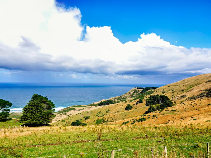 NZ_AUS_002537_20230312.jpg