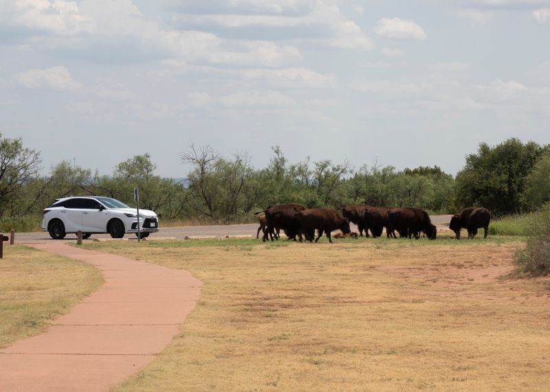 Road_Trip_2024_050801.jpg