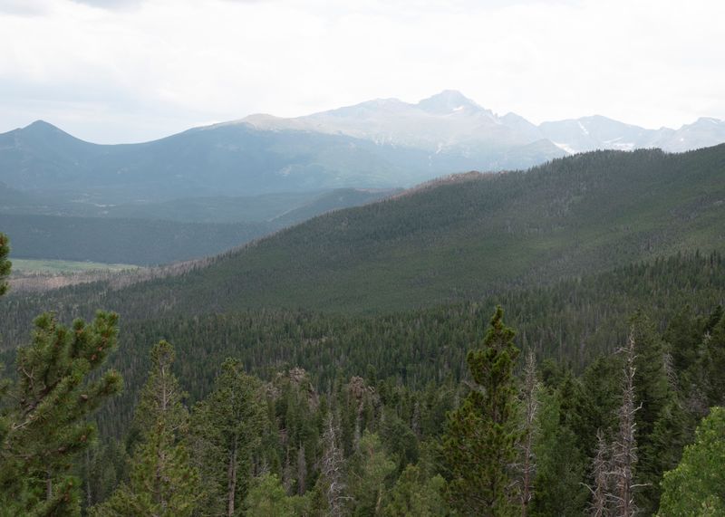 Road_Trip_2024_050965.jpg