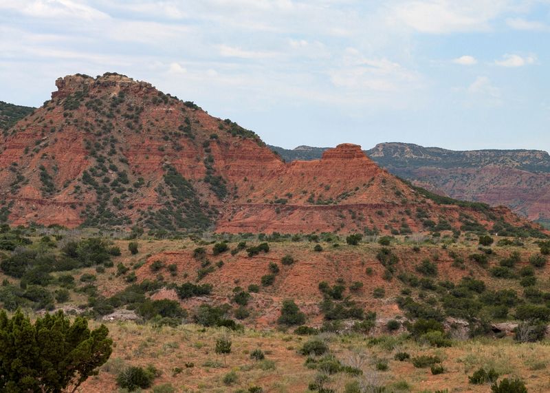 Road_Trip_2024_050973.jpg