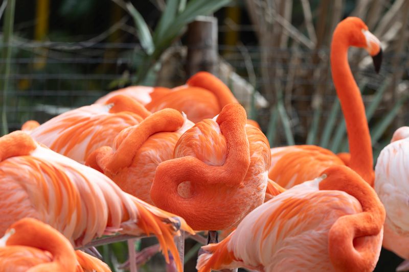 zoo_feb_2025_051524.jpg