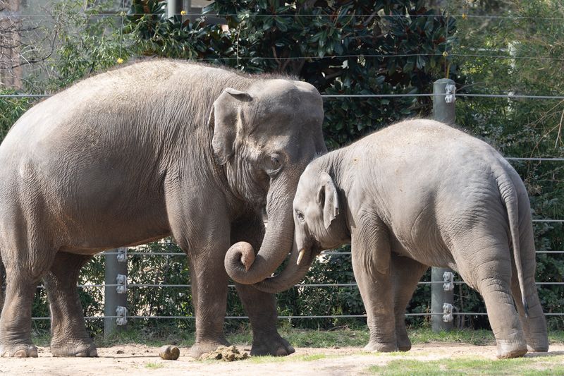 zoo_feb_2025_051532.jpg