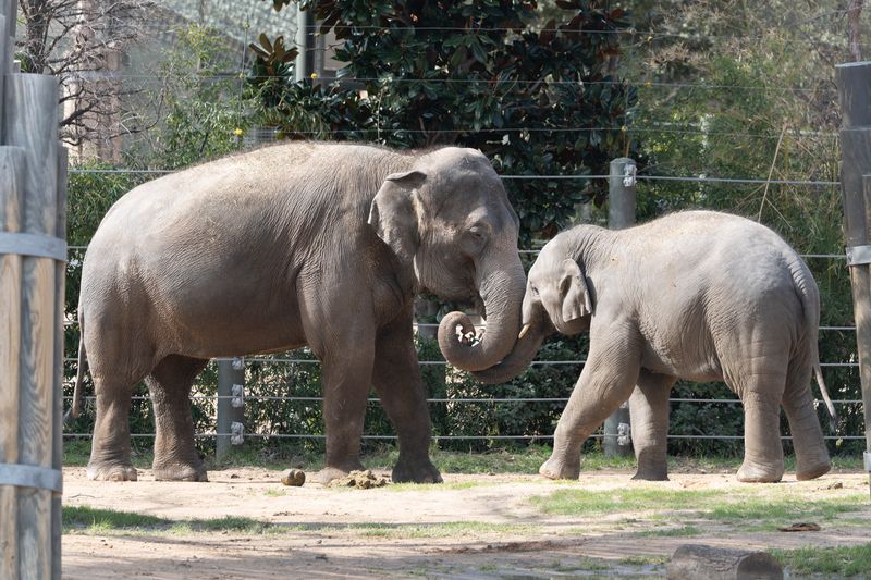 zoo_feb_2025_051533.jpg