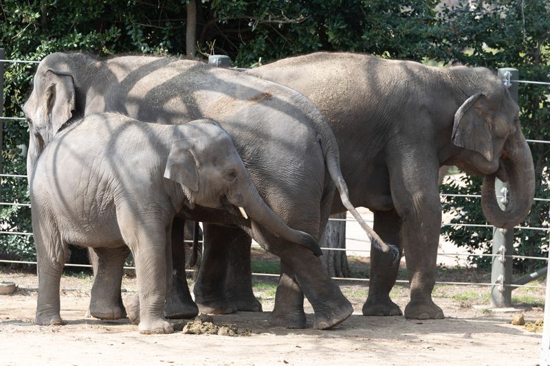 zoo_feb_2025_051534.jpg