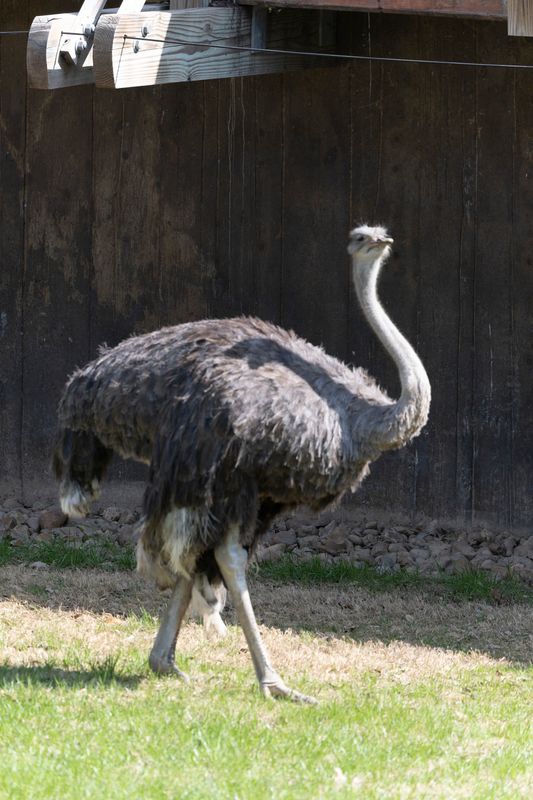 zoo_feb_2025_051539.jpg