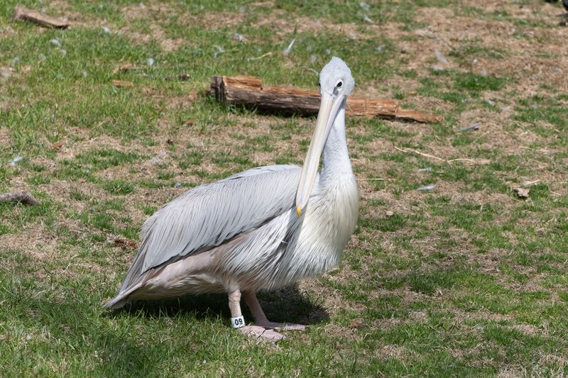 zoo_feb_2025_051540.jpg