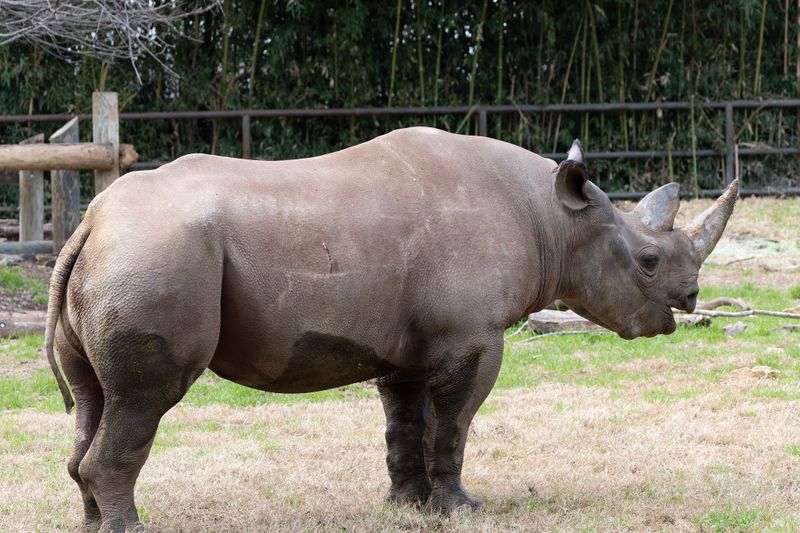 zoo_feb_2025_051548.jpg