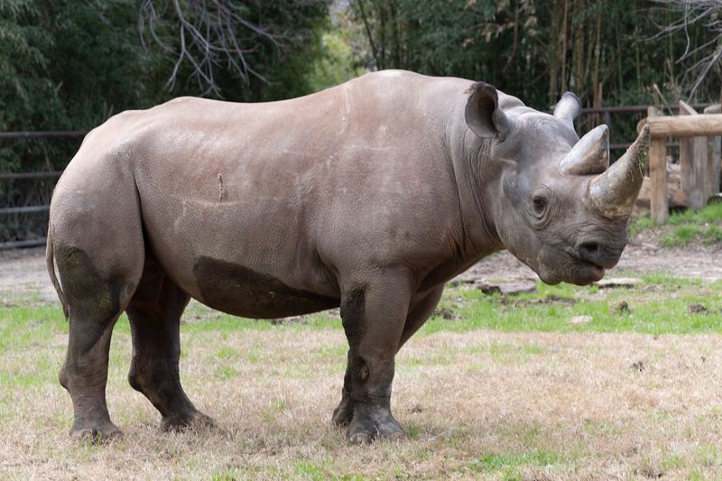 zoo_feb_2025_051549.jpg