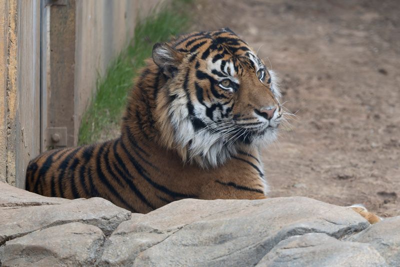 zoo_feb_2025_051553.jpg