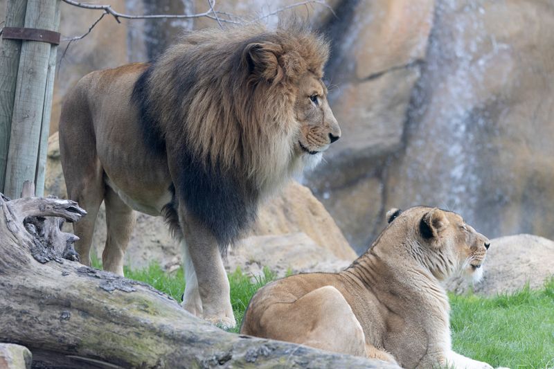 zoo_feb_2025_051563.jpg