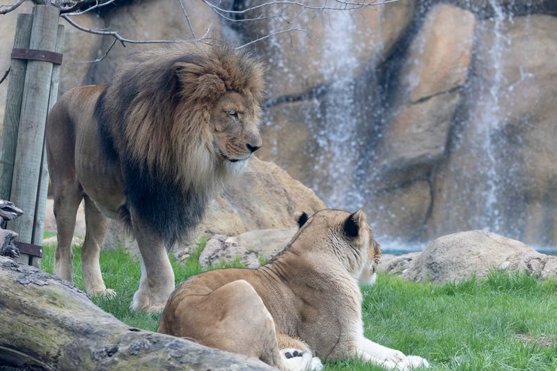 zoo_feb_2025_051564.jpg