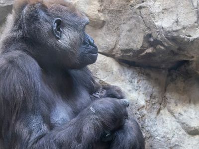 zoo_2022_20221112_001477-2.jpg