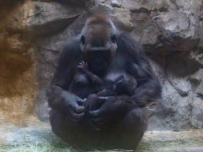 zoo_2022_20221111_000616.jpg
