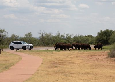 Road_Trip_2024_050801.jpg