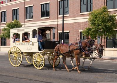 Road_Trip_2024_050848.jpg