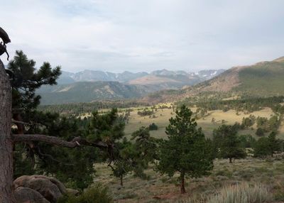 Road_Trip_2024_050933.jpg