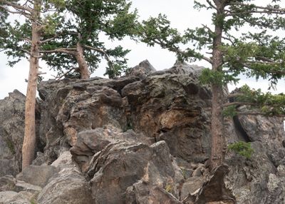 Road_Trip_2024_050971.jpg