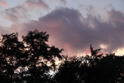 July 24, 2025Hot Sunset