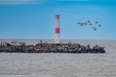 DSC_3332.JPG