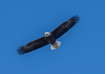 DSC_3842.JPG