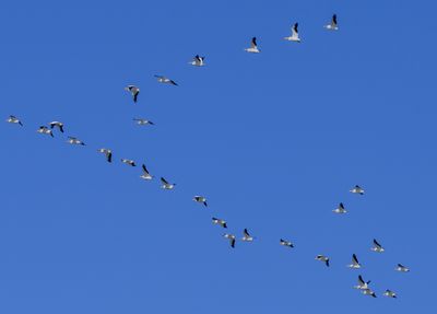 DSC_3856.JPG