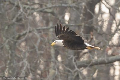 DSC_5003.JPG
