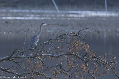 DSC_5284.JPG