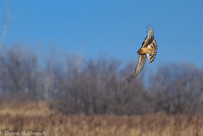 DSC_5469.JPG