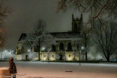 DSC_8174.JPG