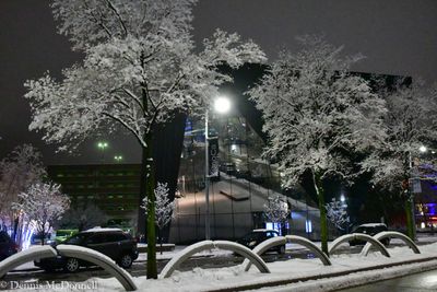 DSC_8205.JPG