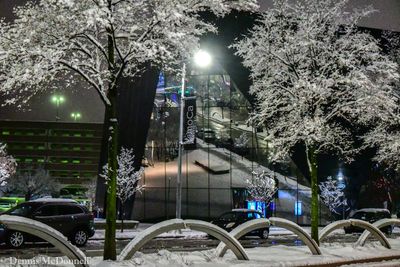 DSC_8208.JPG