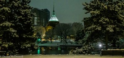 DSC_8218.JPG