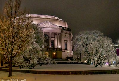 DSC_8223.JPG