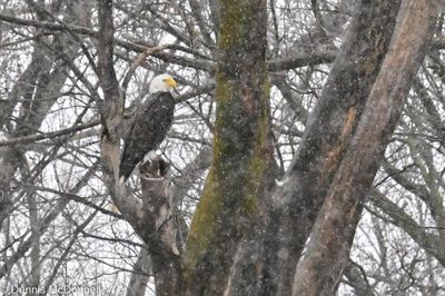DSC_5112-Enhanced.jpg