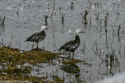 DSC_5170.jpg