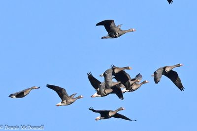 DSC_5511.JPG