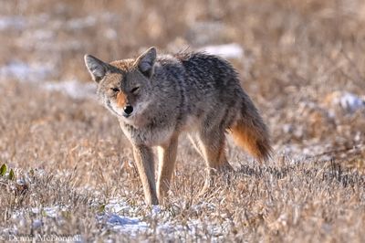 DSC_6552.JPG
