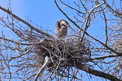 DSC_7716.JPG