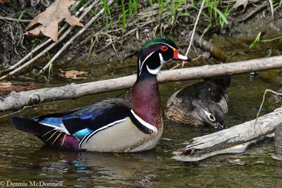 DSC_1144.JPG