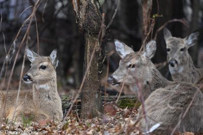 DSC_7414.JPG