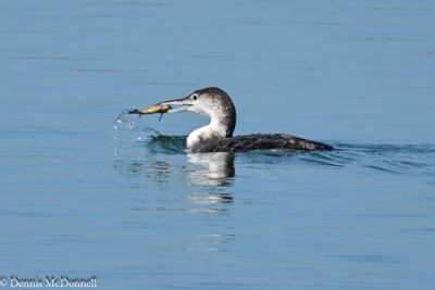 DSC_9122.JPG